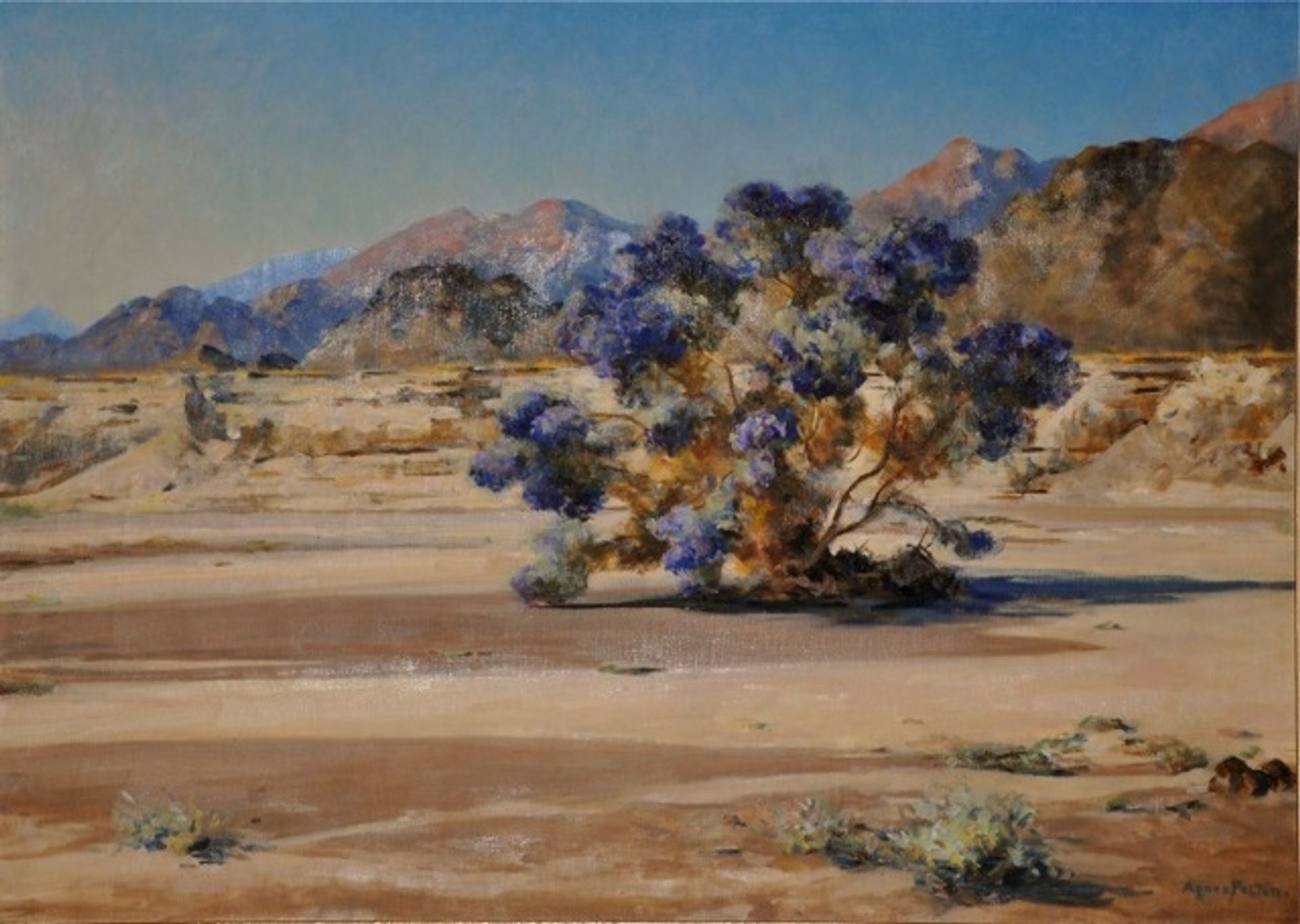 Smoketree by Agnes Lawrence Pelton