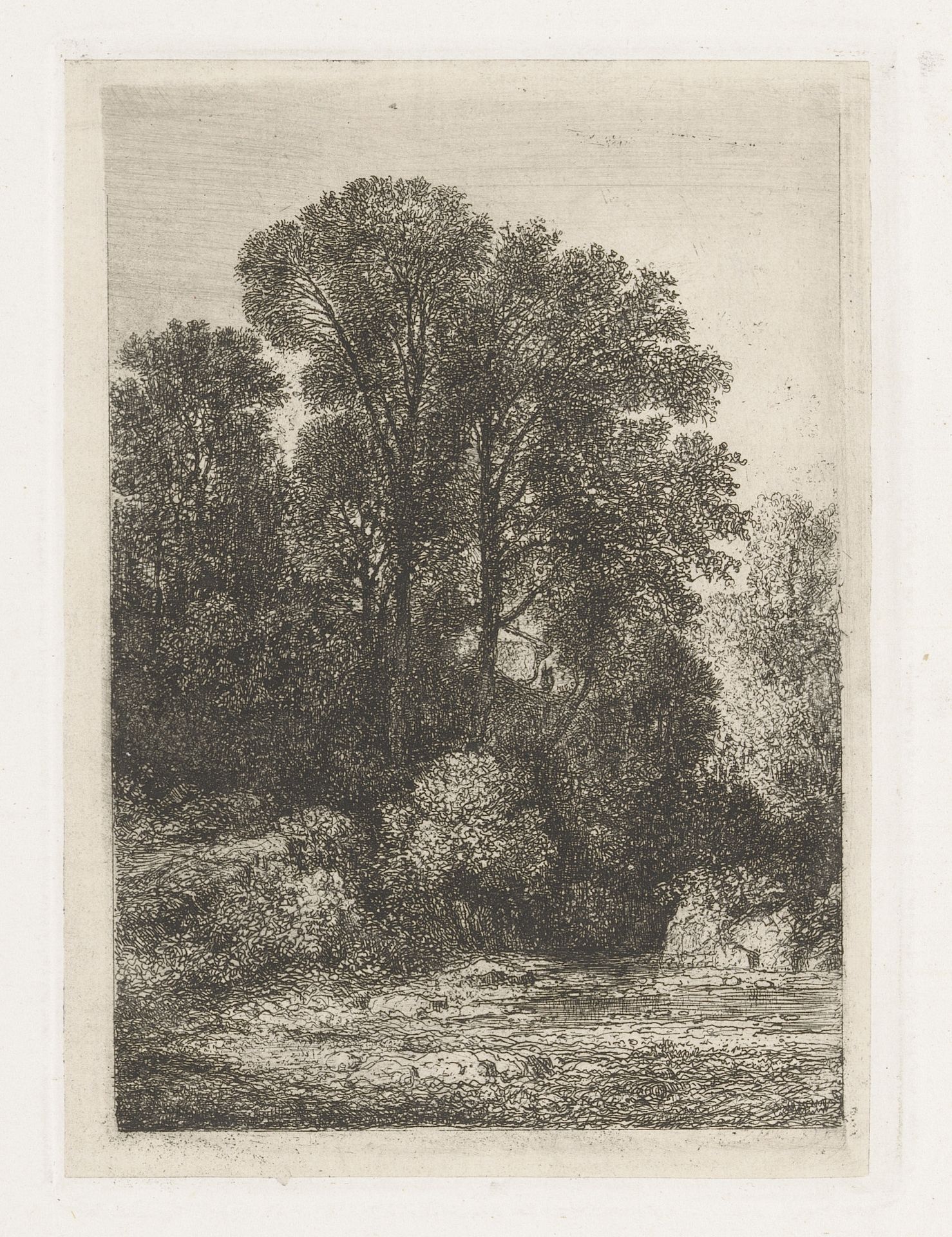 Bomen langs de oever van een beek by Jean Alexis Achard