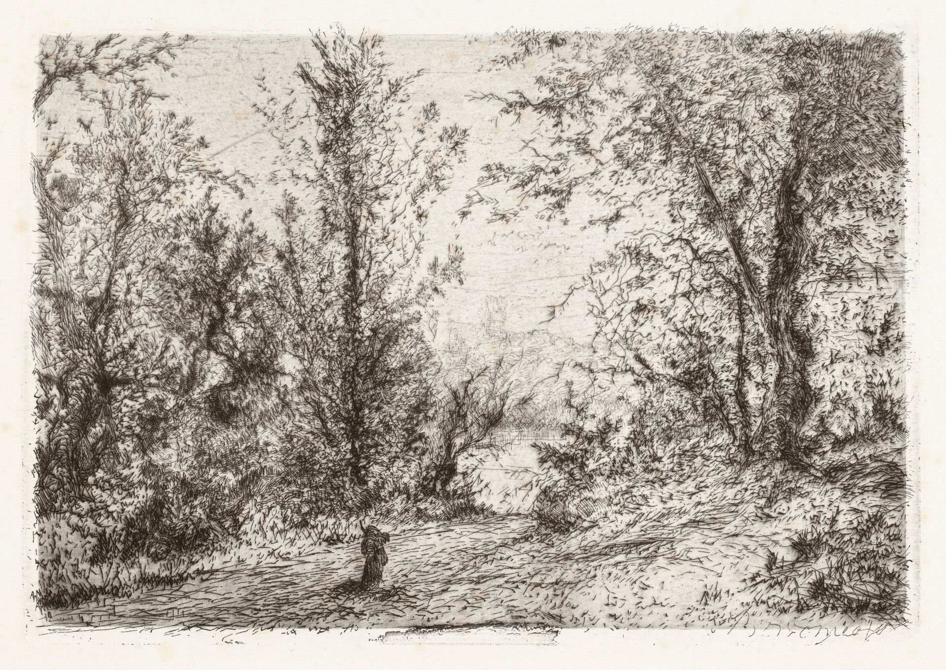 Forest on Lago Maggiore [Foresta sul lago Maggiore] by Giberto Borromeo
