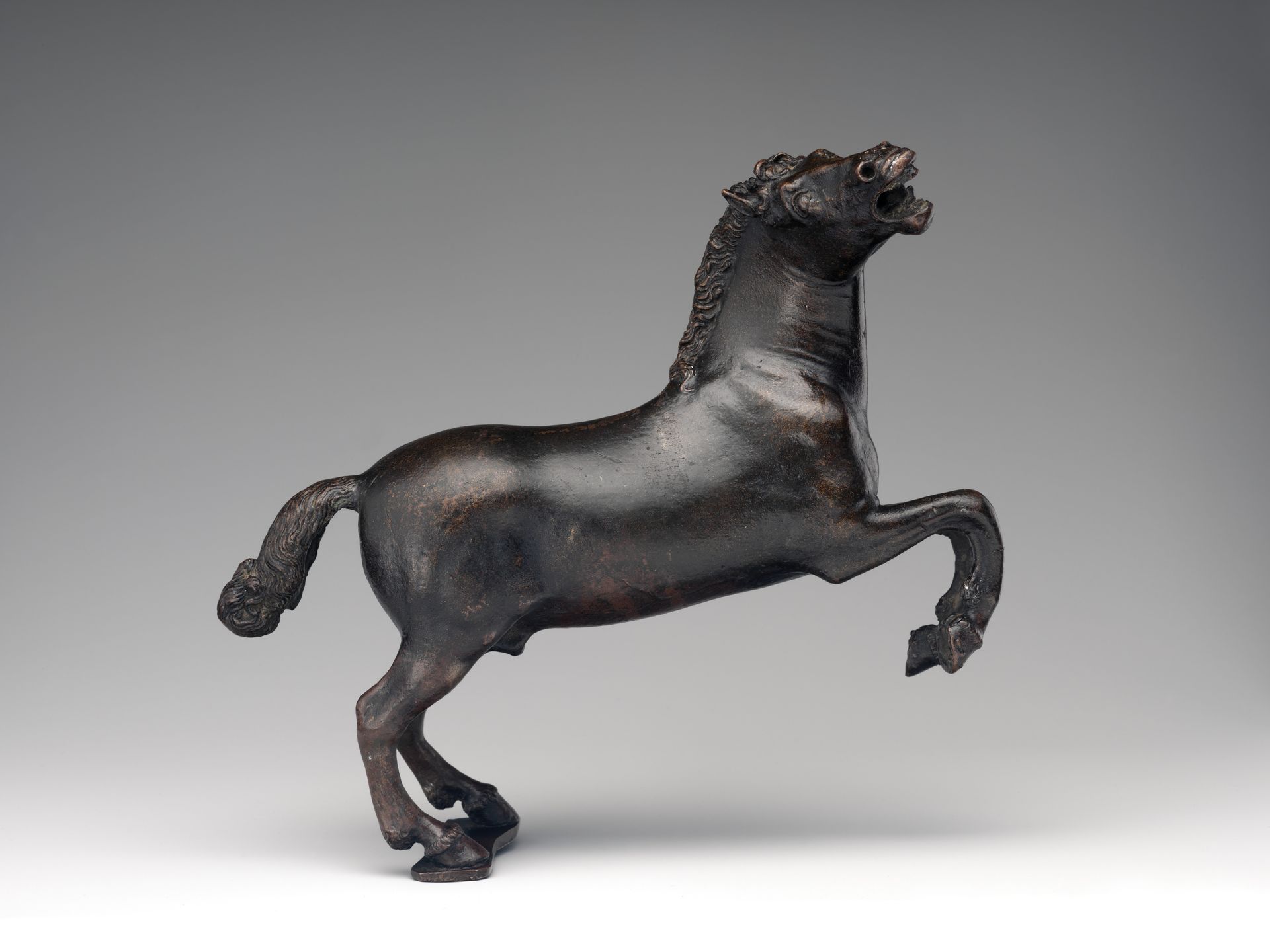 Rearing horse by Severo Calzetta da Ravenna