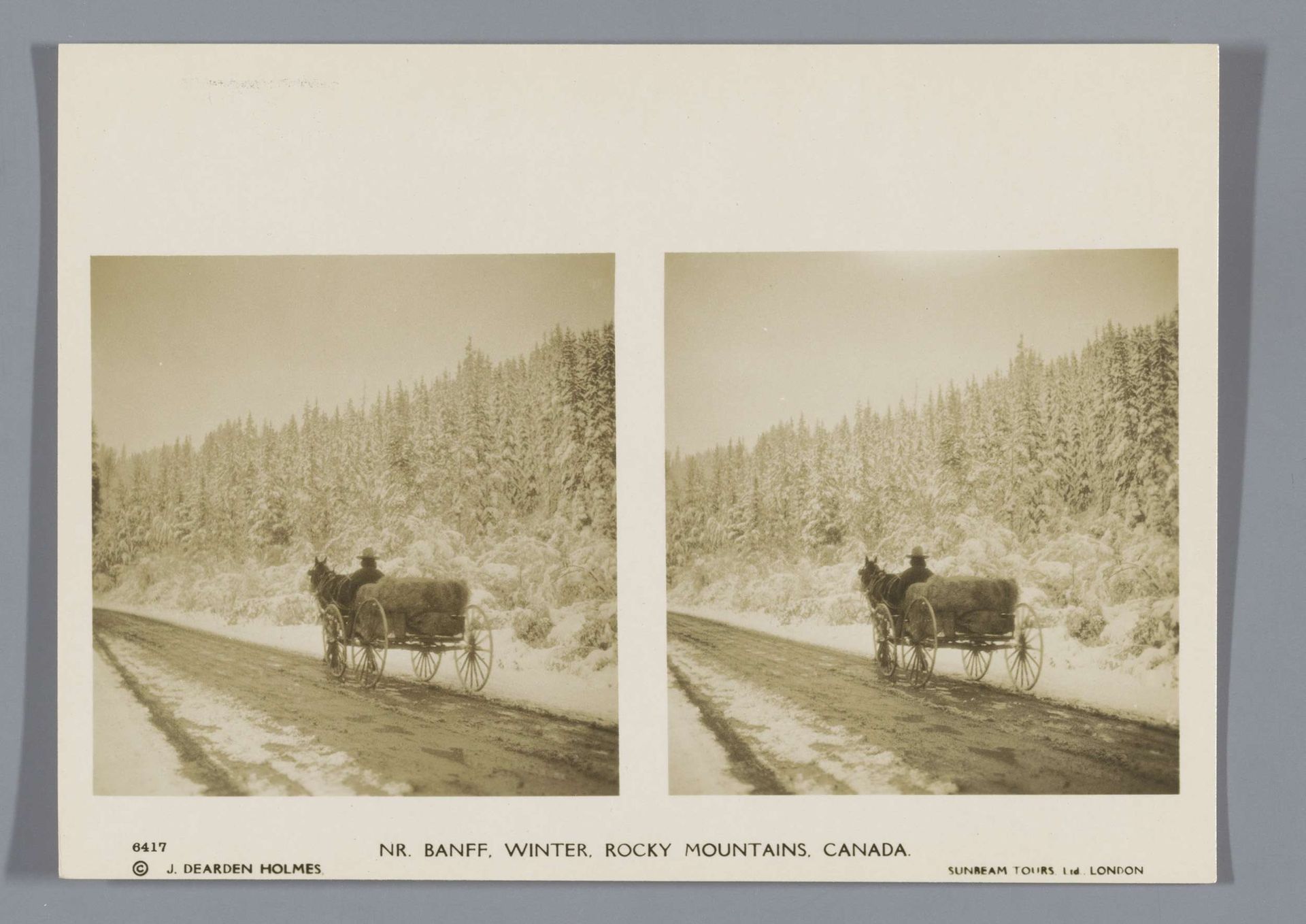 Paardenkar rijdt in de buurt van Banff, Canada by J. Dearden Holmes