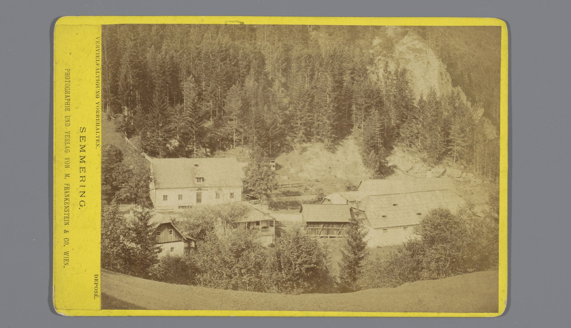Gezicht op boerderijen nabij Semmering, Oostenrijk by M. Frankenstein & Co.