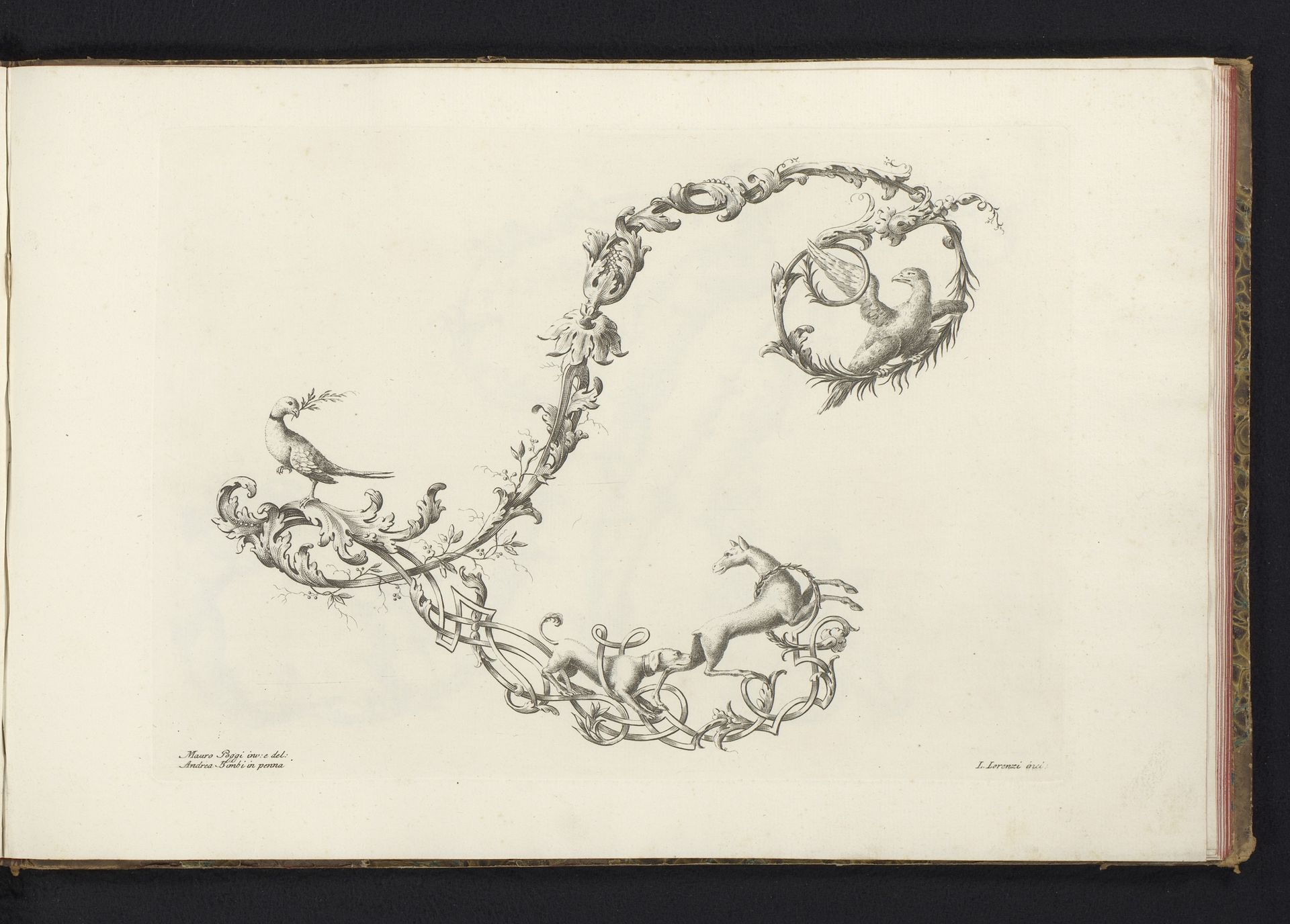 Ornamentele letter L by Lorenzo Lorenzi