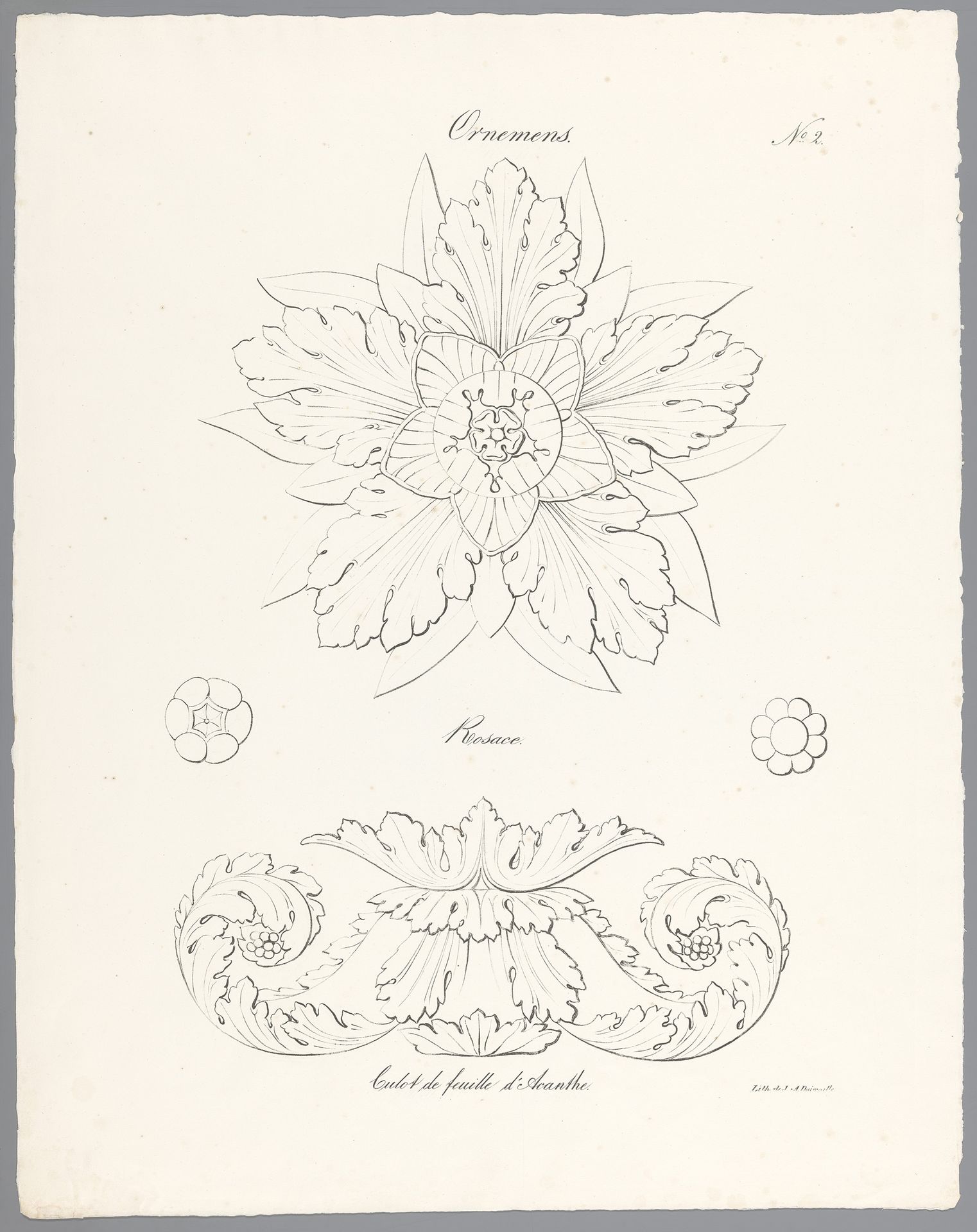 Tekenvoorbeelden acanthusmotieven by Jean Augustin Daiwaille