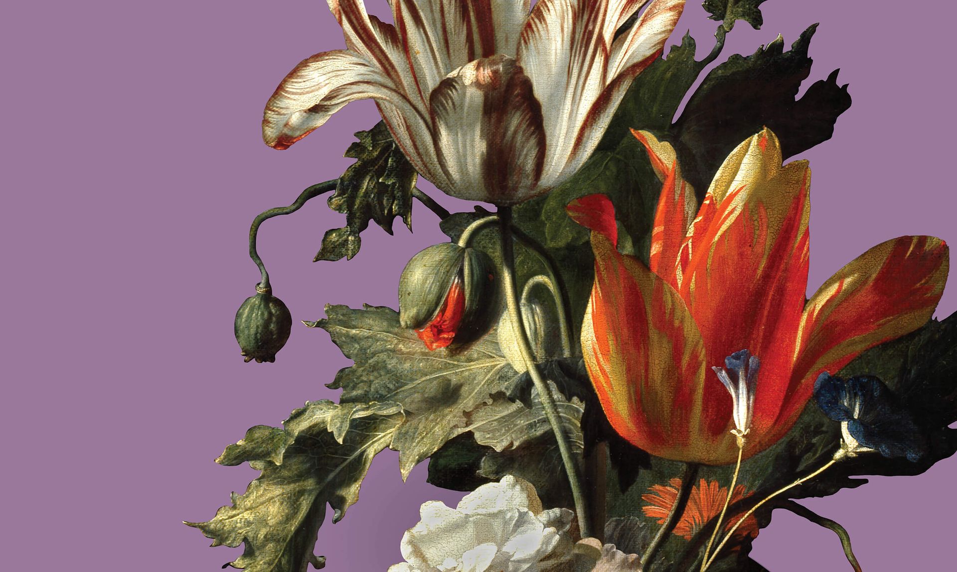 IN BLOOM